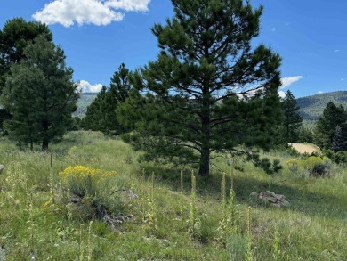 VIEWS!!! This easy-to-build-on lot has everything, because few on Angel Fire Resort Country Club in New Mexico - for sale on GolfHomes.com, golf home, golf lot