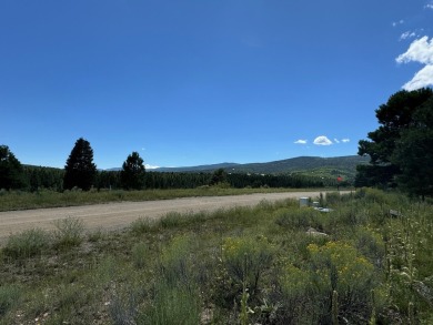 VIEWS!!! This easy-to-build-on lot has everything, because few on Angel Fire Resort Country Club in New Mexico - for sale on GolfHomes.com, golf home, golf lot