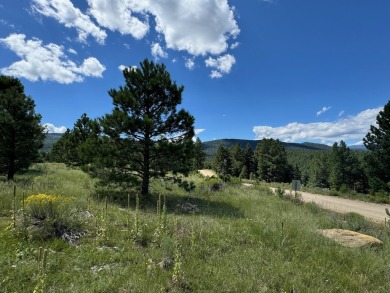 VIEWS!!! This easy-to-build-on lot has everything, because few on Angel Fire Resort Country Club in New Mexico - for sale on GolfHomes.com, golf home, golf lot