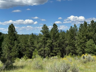 VIEWS!!! This easy-to-build-on lot has everything, because few on Angel Fire Resort Country Club in New Mexico - for sale on GolfHomes.com, golf home, golf lot