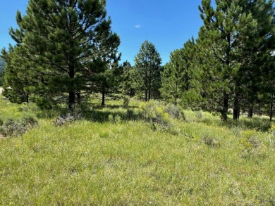 VIEWS!!! This easy-to-build-on lot has everything, because few on Angel Fire Resort Country Club in New Mexico - for sale on GolfHomes.com, golf home, golf lot