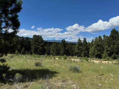 VIEWS!!! This easy-to-build-on lot has everything, because few on Angel Fire Resort Country Club in New Mexico - for sale on GolfHomes.com, golf home, golf lot