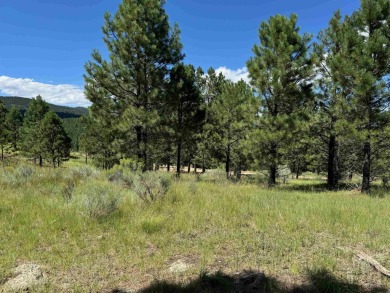 VIEWS!!! This easy-to-build-on lot has everything, because few on Angel Fire Resort Country Club in New Mexico - for sale on GolfHomes.com, golf home, golf lot