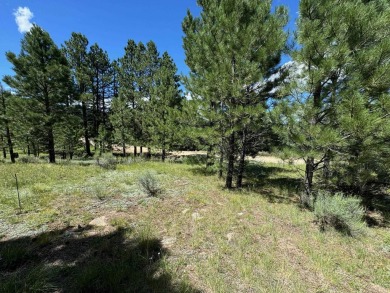 VIEWS!!! This easy-to-build-on lot has everything, because few on Angel Fire Resort Country Club in New Mexico - for sale on GolfHomes.com, golf home, golf lot