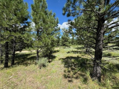 VIEWS!!! This easy-to-build-on lot has everything, because few on Angel Fire Resort Country Club in New Mexico - for sale on GolfHomes.com, golf home, golf lot