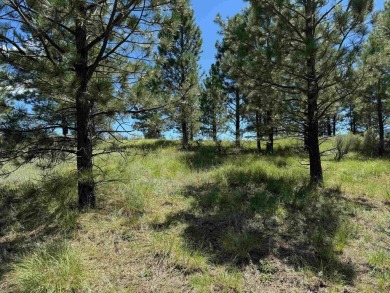 VIEWS!!! This easy-to-build-on lot has everything, because few on Angel Fire Resort Country Club in New Mexico - for sale on GolfHomes.com, golf home, golf lot