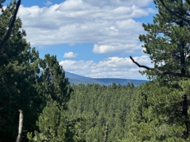 VIEWS!!! This easy-to-build-on lot has everything, because few on Angel Fire Resort Country Club in New Mexico - for sale on GolfHomes.com, golf home, golf lot