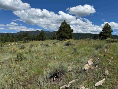 VIEWS!!! This easy-to-build-on lot has everything, because few on Angel Fire Resort Country Club in New Mexico - for sale on GolfHomes.com, golf home, golf lot