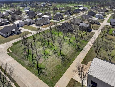FLY IN AND SEE THIS READY-TO-BUILD LOT BEFORE IT'S GONE.

 on Pecan Plantation Country Club in Texas - for sale on GolfHomes.com, golf home, golf lot