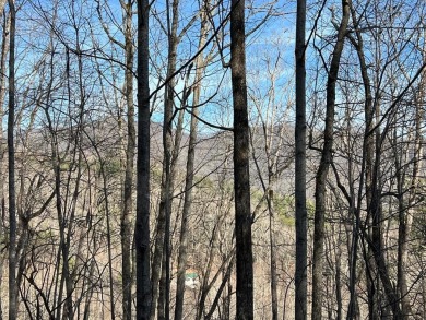 Beautifully wooded Lot located in the upscale community on Chatuge Shores Golf Course in North Carolina - for sale on GolfHomes.com, golf home, golf lot