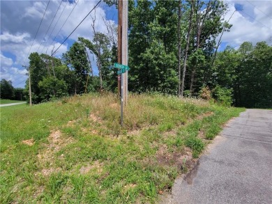This lot is located in a very desirable part of Bella Vista near on Bella Vista - Metfield Golf Complex and Country Club in Arkansas - for sale on GolfHomes.com, golf home, golf lot