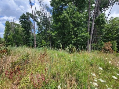 This lot is located in a very desirable part of Bella Vista near on Bella Vista - Metfield Golf Complex and Country Club in Arkansas - for sale on GolfHomes.com, golf home, golf lot