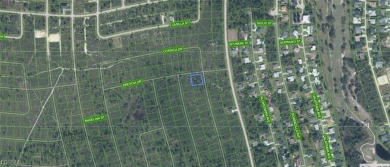 Build Your Dream Home in Sunny Sebring, FL! Welcome to 4733 on Sun n Lake Golf and Country Club in Florida - for sale on GolfHomes.com, golf home, golf lot