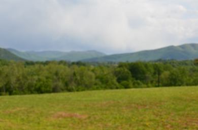 Have you been looking for a buildable lot with those prefect on Nolichucky View Golf Club in Tennessee - for sale on GolfHomes.com, golf home, golf lot