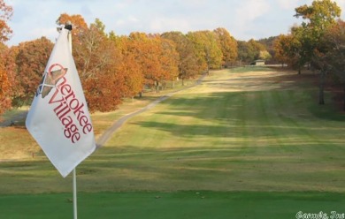 Two adjoining lots with 185 feet of South Golf Course frontage on Cherokee Village South Course in Arkansas - for sale on GolfHomes.com, golf home, golf lot