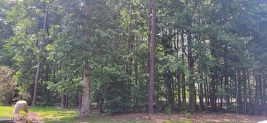 The perfect spot in the perfect location in beautiful Albemarle on Sound Golf Links at Albemarle Plantation in North Carolina - for sale on GolfHomes.com, golf home, golf lot