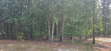 The perfect spot in the perfect location in beautiful Albemarle on Sound Golf Links at Albemarle Plantation in North Carolina - for sale on GolfHomes.com, golf home, golf lot