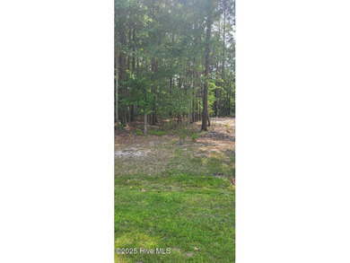 The perfect spot in the perfect location in beautiful Albemarle on Sound Golf Links at Albemarle Plantation in North Carolina - for sale on GolfHomes.com, golf home, golf lot