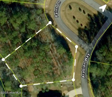 The perfect spot in the perfect location in beautiful Albemarle on Sound Golf Links at Albemarle Plantation in North Carolina - for sale on GolfHomes.com, golf home, golf lot