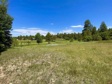 Gina Backer, Sherpa Real Estate, C: , ginabackerrealtor,  : on Pagosa Springs Golf Club in Colorado - for sale on GolfHomes.com, golf home, golf lot