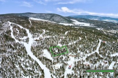 Build among the trees and capture views of the Wheeler Peak on Angel Fire Resort Country Club in New Mexico - for sale on GolfHomes.com, golf home, golf lot