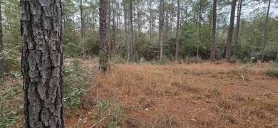 Two interior lots being sold together in the desirable Rayburn on Rayburn Country Club in Texas - for sale on GolfHomes.com, golf home, golf lot