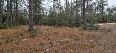 Two interior lots being sold together in the desirable Rayburn on Rayburn Country Club in Texas - for sale on GolfHomes.com, golf home, golf lot