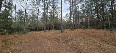 Two interior lots being sold together in the desirable Rayburn on Rayburn Country Club in Texas - for sale on GolfHomes.com, golf home, golf lot