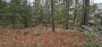 Two interior lots being sold together in the desirable Rayburn on Rayburn Country Club in Texas - for sale on GolfHomes.com, golf home, golf lot