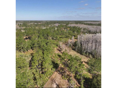 RARE FIND! Escape the ordinary and DISCOVER 2.17 ACRES OF PRIME on Wedgefield Golf Club in Florida - for sale on GolfHomes.com, golf home, golf lot