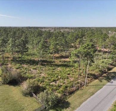 RARE FIND! Escape the ordinary and DISCOVER 2.17 ACRES OF PRIME on Wedgefield Golf Club in Florida - for sale on GolfHomes.com, golf home, golf lot