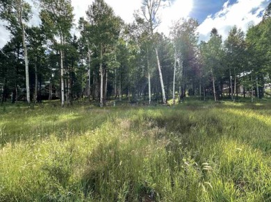 Enjoy all the wildlife and tranquility from this beautiful on Angel Fire Resort Country Club in New Mexico - for sale on GolfHomes.com, golf home, golf lot