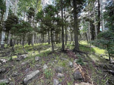 Enjoy all the wildlife and tranquility from this beautiful on Angel Fire Resort Country Club in New Mexico - for sale on GolfHomes.com, golf home, golf lot