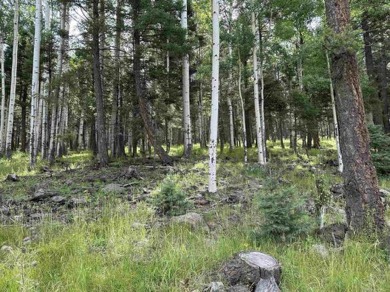 Enjoy all the wildlife and tranquility from this beautiful on Angel Fire Resort Country Club in New Mexico - for sale on GolfHomes.com, golf home, golf lot