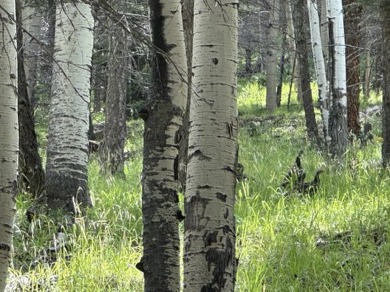 Enjoy all the wildlife and tranquility from this beautiful on Angel Fire Resort Country Club in New Mexico - for sale on GolfHomes.com, golf home, golf lot