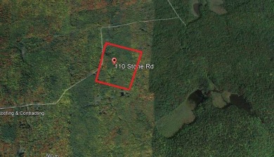 Look no more, this private 157 acre lot includes 5 Deeded on Malone Golf Club, Inc. in New York - for sale on GolfHomes.com, golf home, golf lot