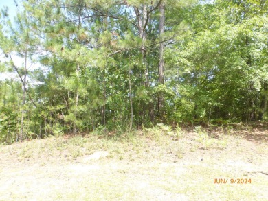 One of the last home sites available in the sought after on Woodside Plantation Country Club in South Carolina - for sale on GolfHomes.com, golf home, golf lot