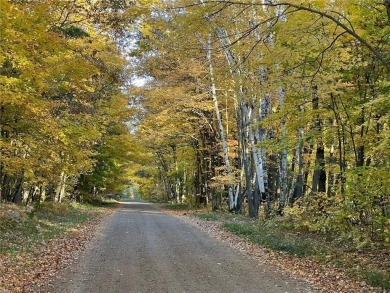 THIS STUNNING 2.77 A. PARCEL IS 15 MIN. FROM THE RENOWNED CUYUNA on Ruttgers Bay Lake Lodge Golf Club in Minnesota - for sale on GolfHomes.com, golf home, golf lot