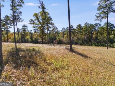 Beautiful 16-acre lot located in Northern Chambers County within on Riverside Country Club in Alabama - for sale on GolfHomes.com, golf home, golf lot