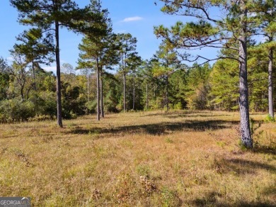 Beautiful 16-acre lot located in Northern Chambers County within on Riverside Country Club in Alabama - for sale on GolfHomes.com, golf home, golf lot