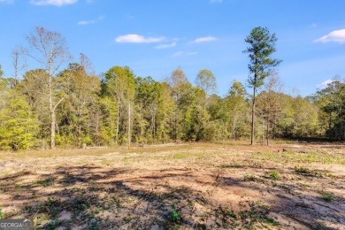 Beautiful 16-acre lot located in Northern Chambers County within on Riverside Country Club in Alabama - for sale on GolfHomes.com, golf home, golf lot