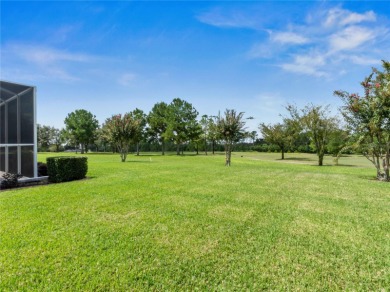 SPECTACULAR SUNSETS from this Exquisite, one-owner, CUSTOM built on Lake Jovita Golf and Country Club in Florida - for sale on GolfHomes.com, golf home, golf lot