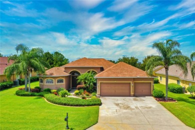 SPECTACULAR SUNSETS from this Exquisite, one-owner, CUSTOM built on Lake Jovita Golf and Country Club in Florida - for sale on GolfHomes.com, golf home, golf lot