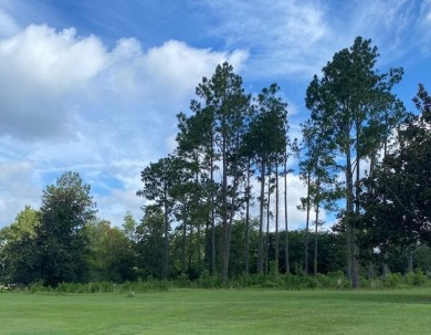 1.2 acre lot located on Fairway of hole #9 on Tired Creek Golf on Tired Creek Golf Course in Georgia - for sale on GolfHomes.com, golf home, golf lot