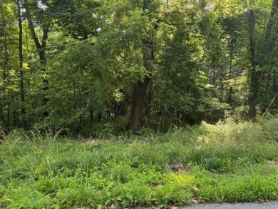 Build your dream home or weekend getaway on this 0.26-acre lot on Bella Vista Country Club - Berksdale in Arkansas - for sale on GolfHomes.com, golf home, golf lot