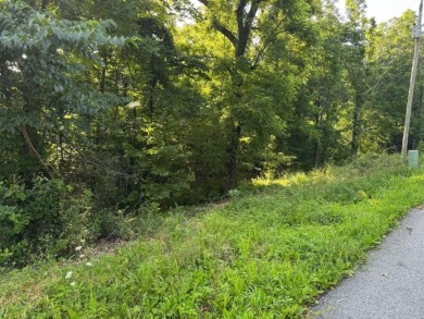 Build your dream home or weekend getaway on this 0.26-acre lot on Bella Vista Country Club - Berksdale in Arkansas - for sale on GolfHomes.com, golf home, golf lot