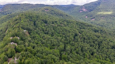 This generously sized 5.85 acre estate property includes two on Sapphire National Golf Club in North Carolina - for sale on GolfHomes.com, golf home, golf lot