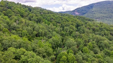 This generously sized 5.85 acre estate property includes two on Sapphire National Golf Club in North Carolina - for sale on GolfHomes.com, golf home, golf lot