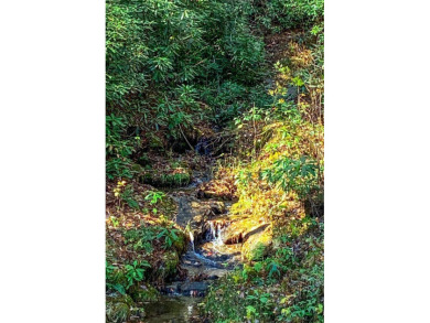 This generously sized 5.85 acre estate property includes two on Sapphire National Golf Club in North Carolina - for sale on GolfHomes.com, golf home, golf lot