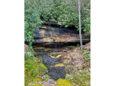 This generously sized 5.85 acre estate property includes two on Sapphire National Golf Club in North Carolina - for sale on GolfHomes.com, golf home, golf lot